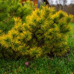 Фото Отель Redlake by RentalSPb