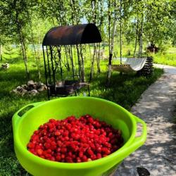 Фото Отель Алино