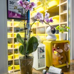 Фото Отель Навруз