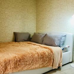 Фото Апартаменты на проспекте Ленина 37