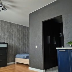 1-комнатные апартаменты студия с 1 двуспальной кроватью