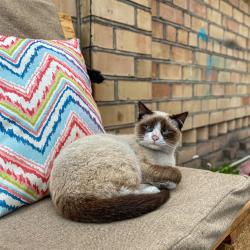 Фото Отель Cats&Beds Hostel (Кэтс&Бэдс)