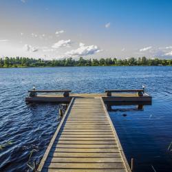 Фото Отель Green Gold Park (Грин Голд Парк)