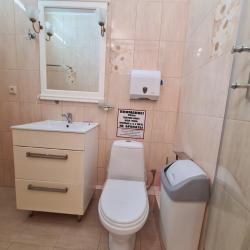 Фото Отель Золотой лев