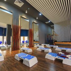 Фото Отель Wellness Hotel and Spa (Велнесс)