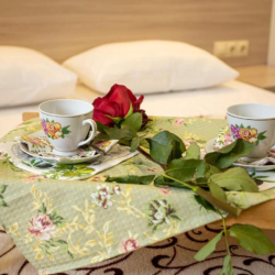 Фото Отель Вилла Роза