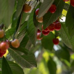 Фото Отель Villa Provence (Вилла Прованс)