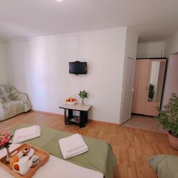 Номер полулюкс с 1 односпальной и 1 двуспальной кроватью