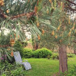 Фото Отель Лавандовый сад