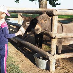 Фото Отель Остров Колочный
