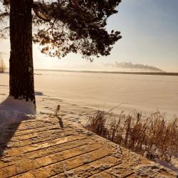 Фото Отель Загородный клуб Лесная сказка