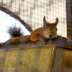 Фото Отель Алтика