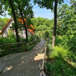 Фото Отель Оранжевое Солнце