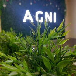 Фото Отель Агни