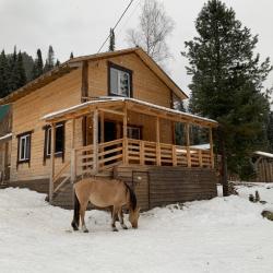 Фото Отель Дом Петровича