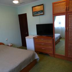 2-местный номер стандарт с 1 двуспальной кроватью