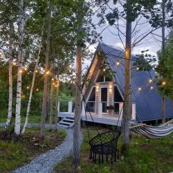 Фото Отель Свобода леса