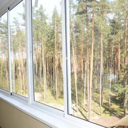 Фото Апартаменты Яхонтовый Лес