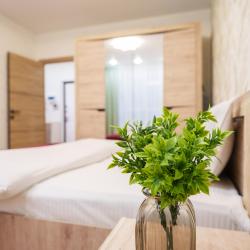 1-комнатные апартаменты стандарт #465