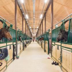 Фото Отель Hermes Estate (Гермес Эстет)