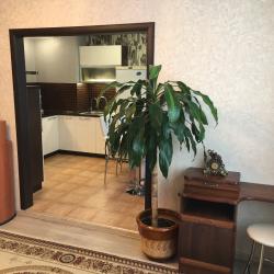 Фото Апартаменты на проспекте Героев 56