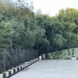 Фото Апартаменты на улице Амбровая