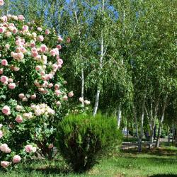 Фото Отель Сакрополь