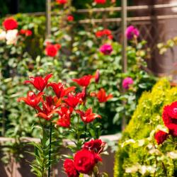 Фото Отель Адмирал