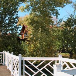 Фото Парк-отель Пересвет