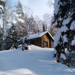 Фото Отель Берлога