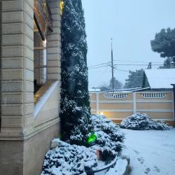 фото 48 Кипарис