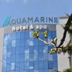 Фото Отель AQUAMARINE Hotel&Spa (Аквамарин)