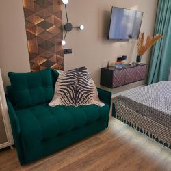 1-комнатные апартаменты студия