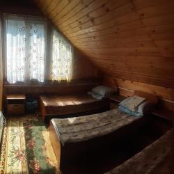 Фото Отель Ёлочка