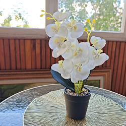 Фото Отель Уютные Сутки на ул. Осипенко, дом 142