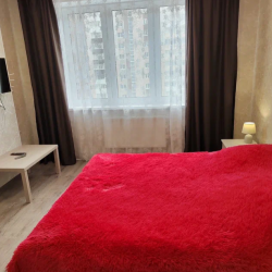 Фото Апартаменты на улице Псковская 3