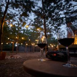 Фото Отель Кусочек рая в соснах