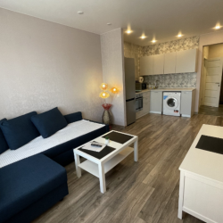 Фото Апартаменты President на улице Депутатская 55