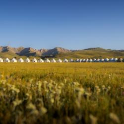 Фото Отель Юрточный лагерь Сон Куль