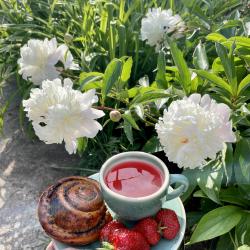 Фото Отель Вилла Велена