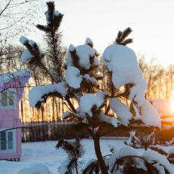 Фото Отель Корабль