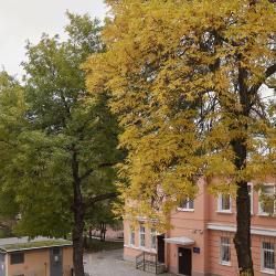 Стандарт Ленинград