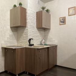 Фото Апартаменты на проспекте Ленина 132