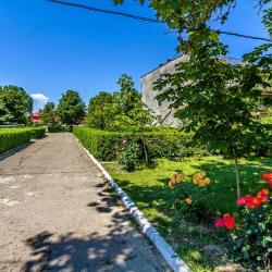 Фото Парк-Отель Южный берег