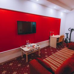 Номер полулюкс тематический