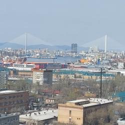 1-комнатные апартаменты студия