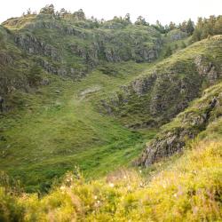 Фото Отель ALTAYPIC