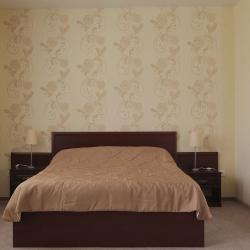 Фото Отель Россия