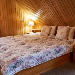 Фото Отель Здрава Дача