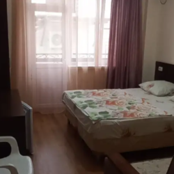 Фото Отель Сакартвело